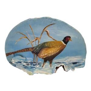 Handpainted Pheasant on Petrified Wood Art Signed FA 5" x 3"